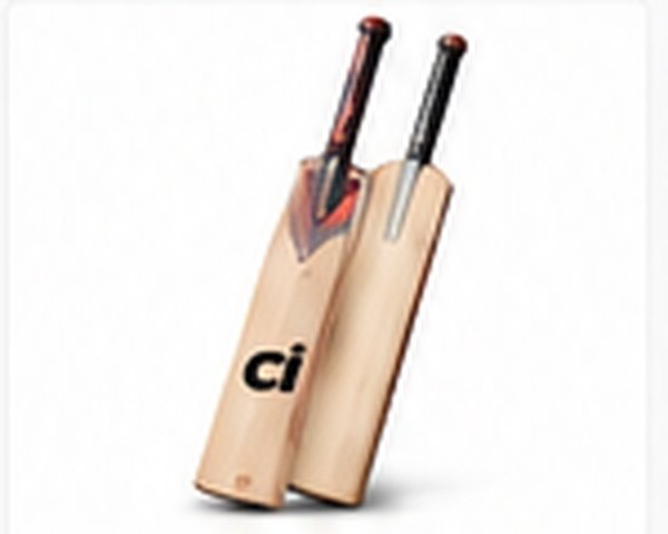 Cricket Bat